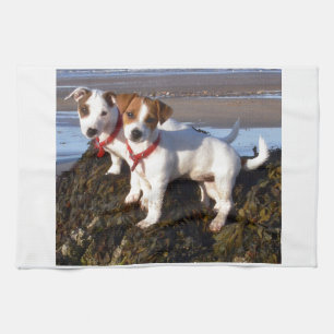 Jack-Russell-Welpen Handtuch