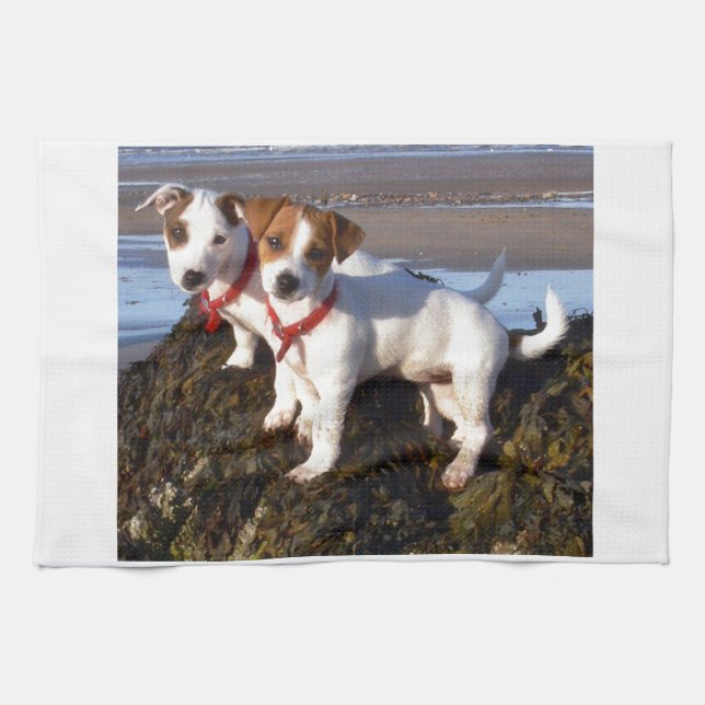 Jack-Russell-Welpen Handtuch (Horizontal)