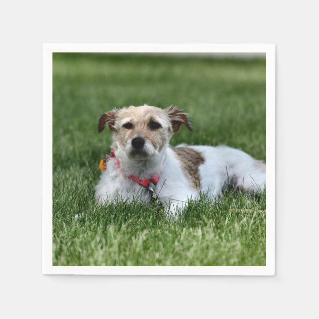 Jack Square Paper Untersetzer Serviette (Vorderseite)