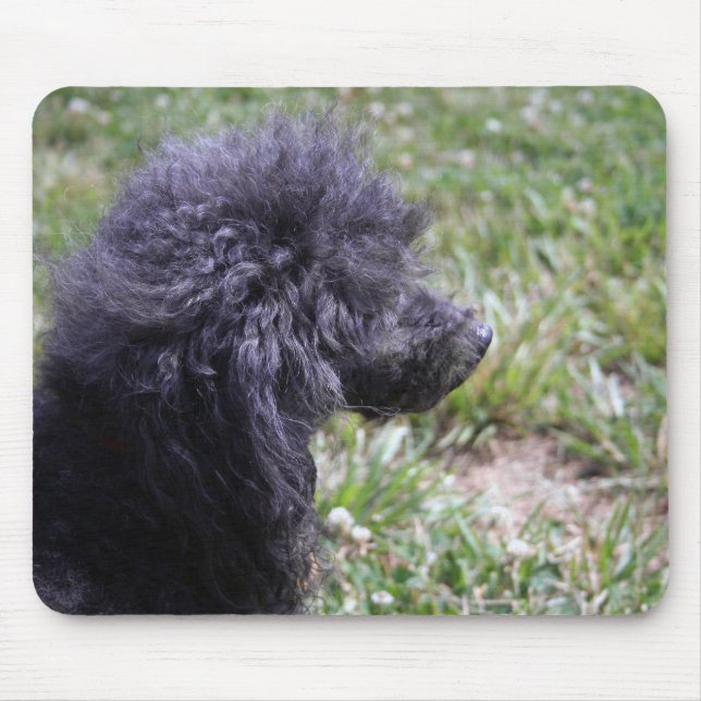 Jack T. Poodle Mousepad (Vorne)