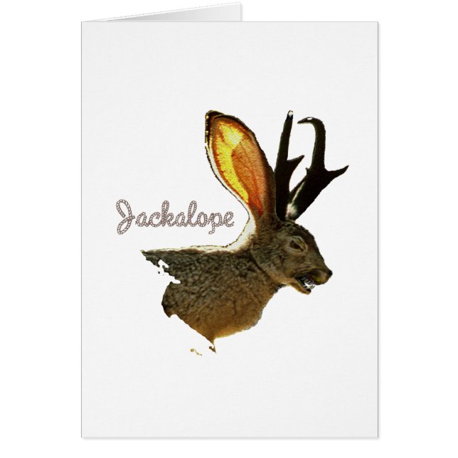 Jackalope (Vorne)