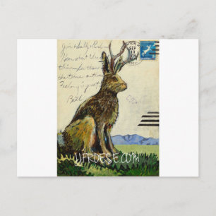 Jackalope #2 von James J. Frosch Postkarte
