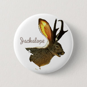 Jackalope Button