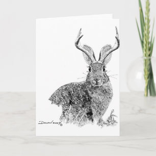 Jackalope Karte