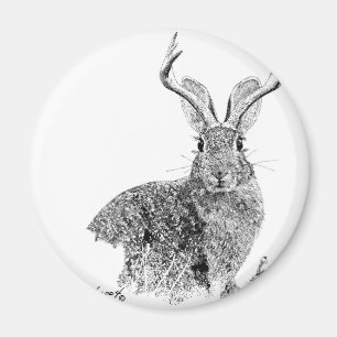 Jackalope Magnet