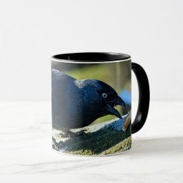 Jackdaw Tasse