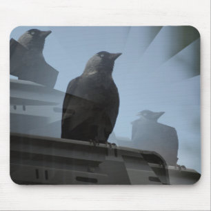 Jackdaw-Vogel Mousepad