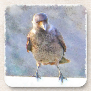 Jackdaw Watercolor Getränkeuntersetzer