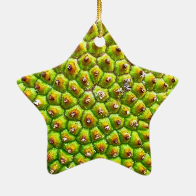 Jackfruit-Sided Star Ornament (Hinten)