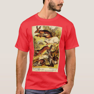 Jackkaninchen - Hare - Wildkaninchen - Vintag Lith T-Shirt
