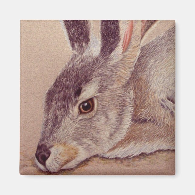 Jackkaninchen Magnet (Vorne)