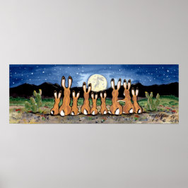 Jackrabbit Familienwüste Moon Night Poster