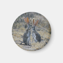 Jackrabbits Magnet