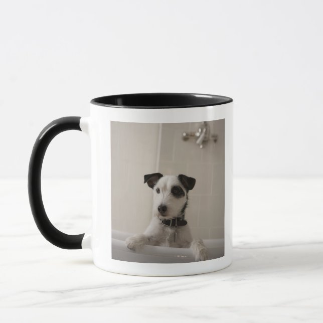 Jackrussell-Terrier Tasse (Links)