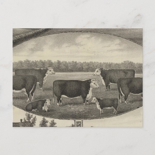 Jackson Farm, Kansas Postkarte (Vorderseite)