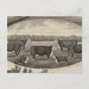 Jackson Farm, Kansas Postkarte