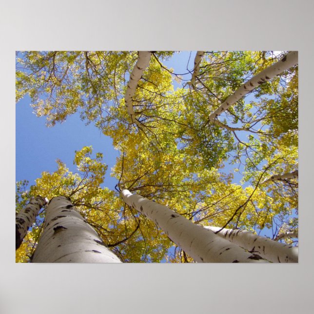 Jackson Hole Wyoming Series Poster (Vorne)