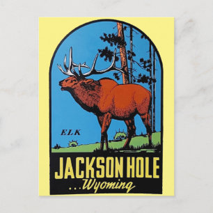 Jackson Hole Wyoming Vintage Reise Postkarte