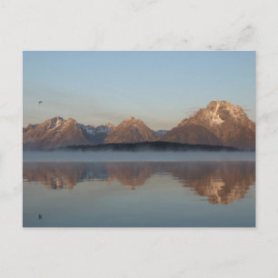 Jackson Lake Dam Reflection in Grand Teton Park Postkarte