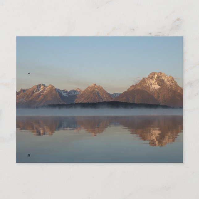 Jackson Lake Dam Reflection in Grand Teton Park Postkarte (Vorderseite)