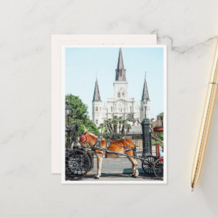 Jackson Square New Orleans Pferd Foto Postkarte