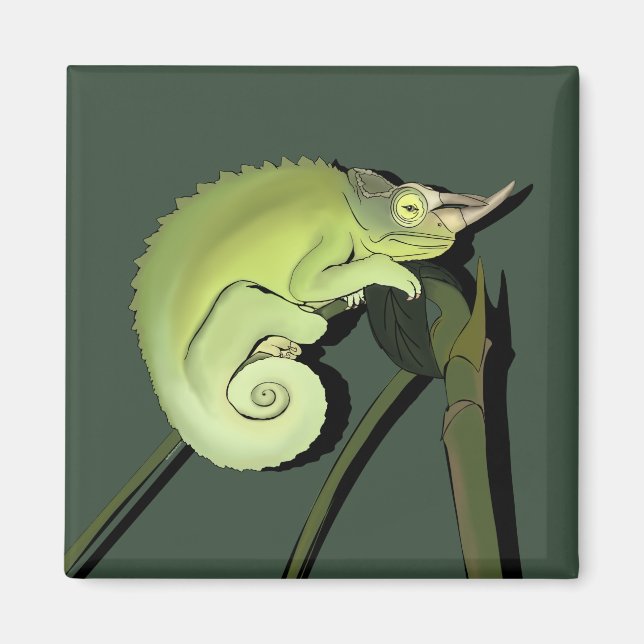 Jackson's Chameleon Magnet (Vorne)