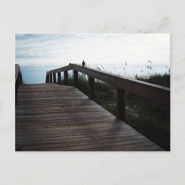 Jacksonville Beach, Florida Postkarte (Vorderseite)