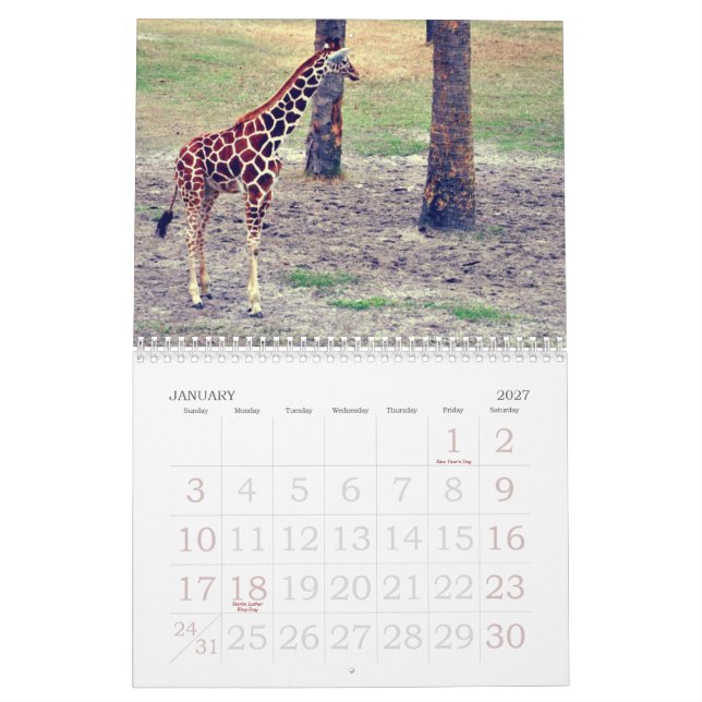 Jacksonville-Zoo und -gärten Kalender (Jan 2027)