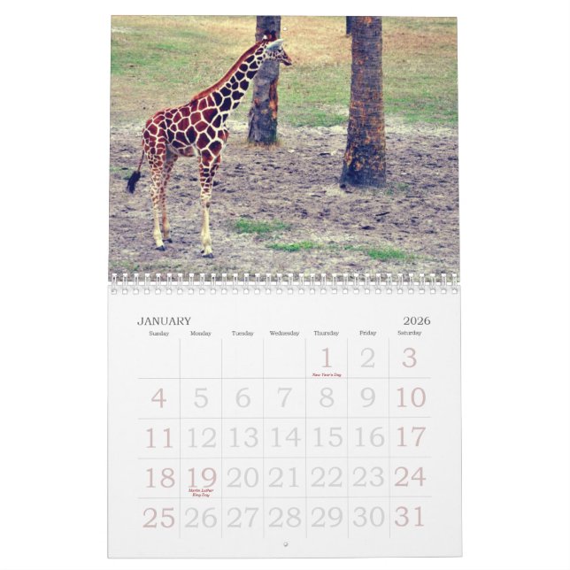 Jacksonville-Zoo und -gärten Kalender (Jan 2026)