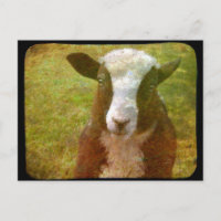 Jacob Lamb