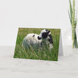 Jacob Ram Lamb Mothers Day Karte