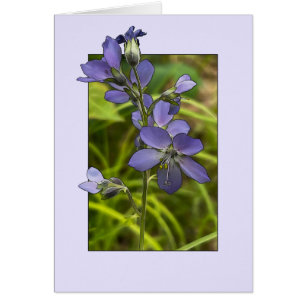 Jacob's Ladder - 5" x 7" Art Card