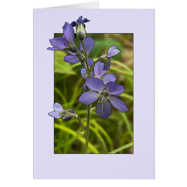 Jacob's Ladder - 5" x 7" Art Card (Vorne)