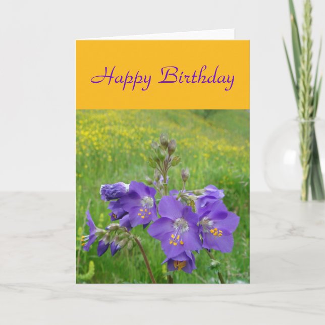 Jacob's Ladder Card Karte (Vorderseite)