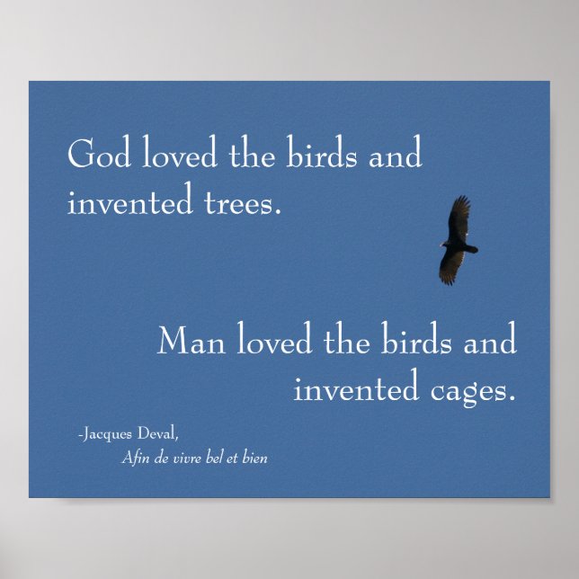 Jacques Deval Bird Poster (Vorne)