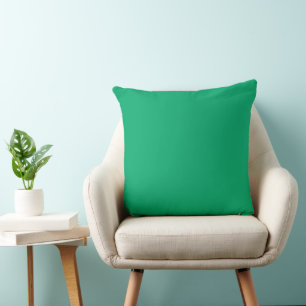 Jade Throw Pillows Kissen