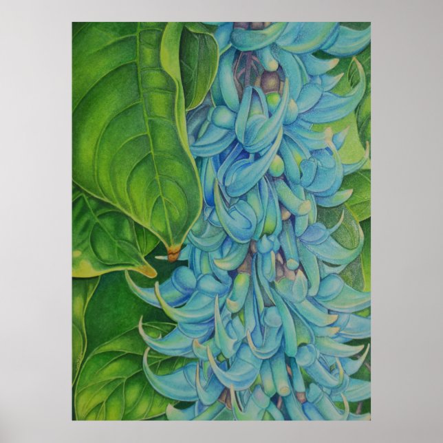 Jade Vine Poster (Vorne)
