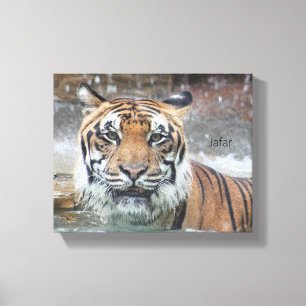 Jafar Leinwanddruck