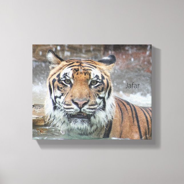 Jafar Leinwanddruck (Vorderseite)