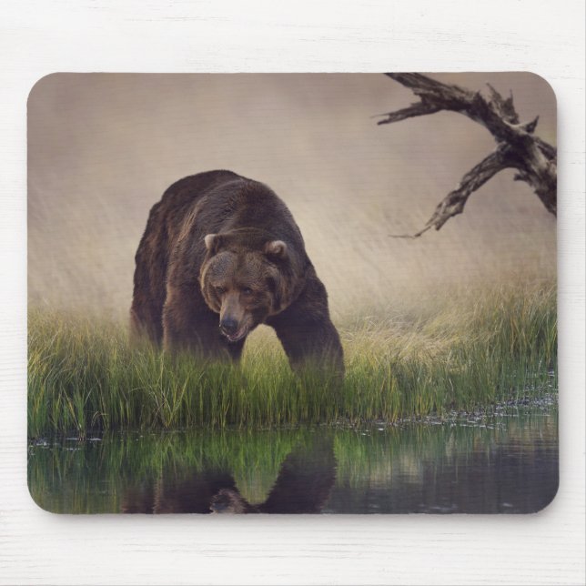 Jagd auf Braunbär Maus Pad Mousepad (Vorne)