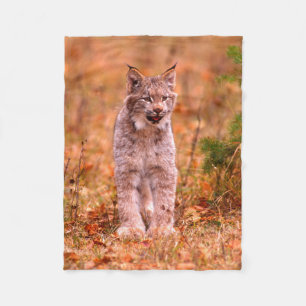 Jagd auf Rotluchs Herbstwald Fleecedecke