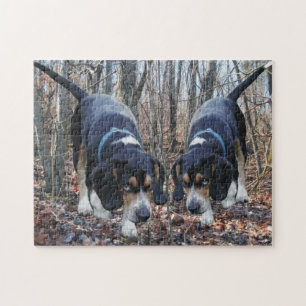 Jagd-Beagles Puzzle