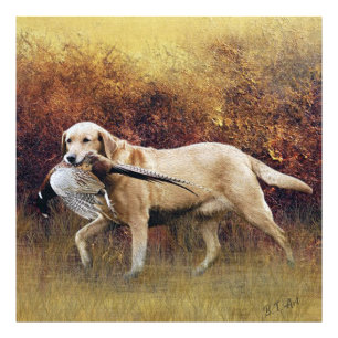 Jagd Fasan, Herbst Imitate Canvas Print Acrylic Fotodruck
