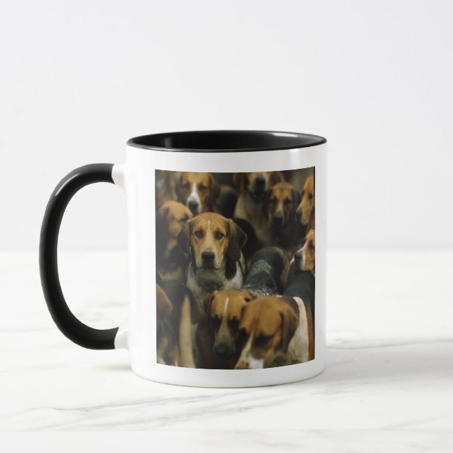 Jagd Foxhounds, Galway-Blazer, Irland Tasse (Links)