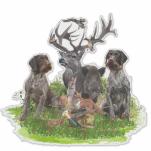 Jagd mit deutschem Drahthaar Pointer Sticker