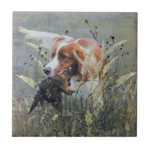 Jagd mit Epagneul Breton   Fliese