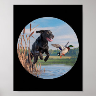 Jagd Schwarzer Labrador Labrador Hunde Jagd Enten. Poster