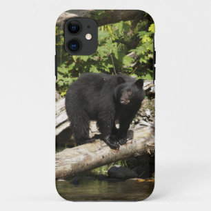 Jagd Wilder Schwarzer Bär Wildlife Foto Case-Mate iPhone Hülle