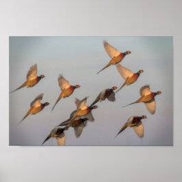 Jagdanfänger Bounty Jäger Poster