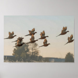 Jagdanfänger Bounty Jäger Poster